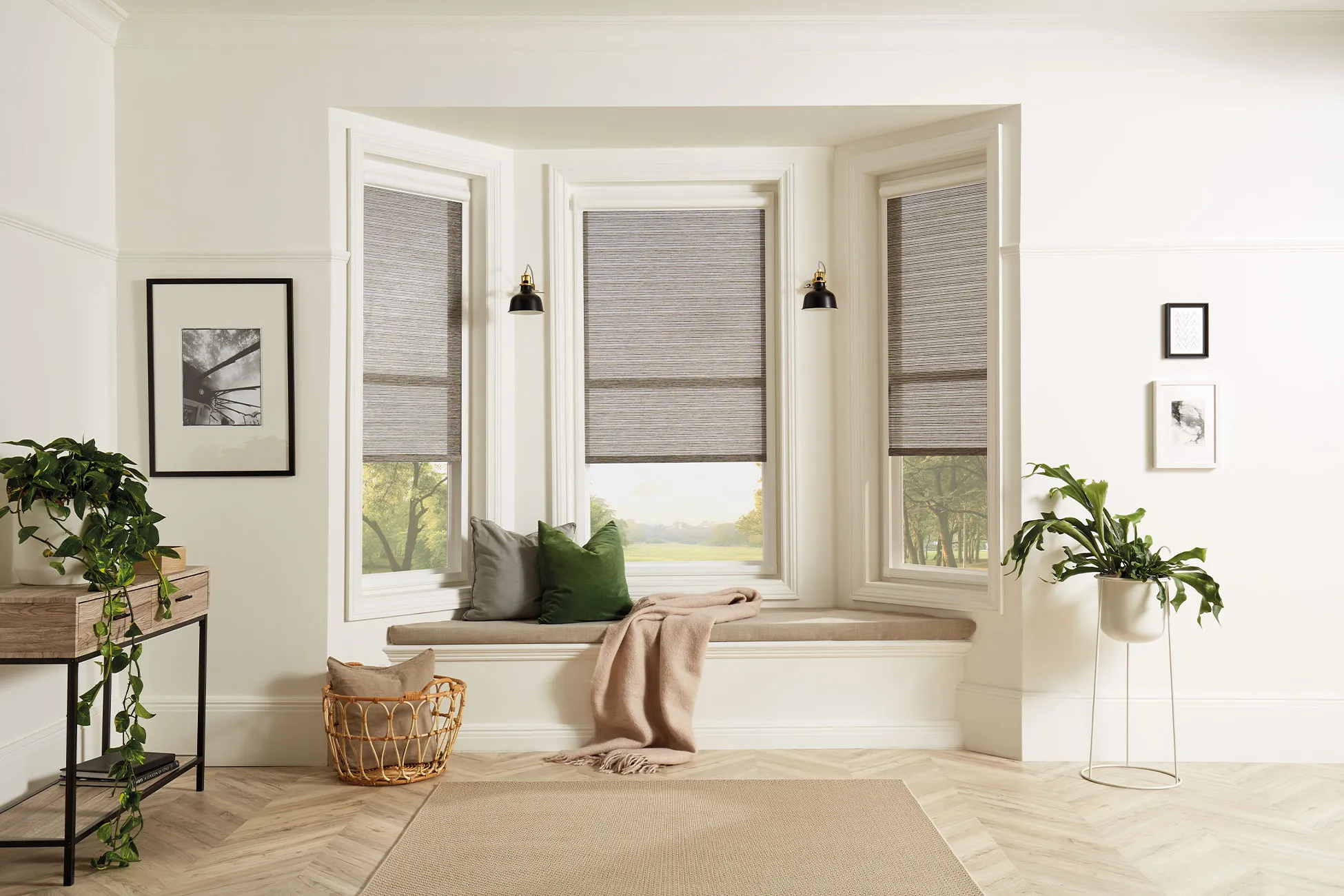 Motorised Blinds